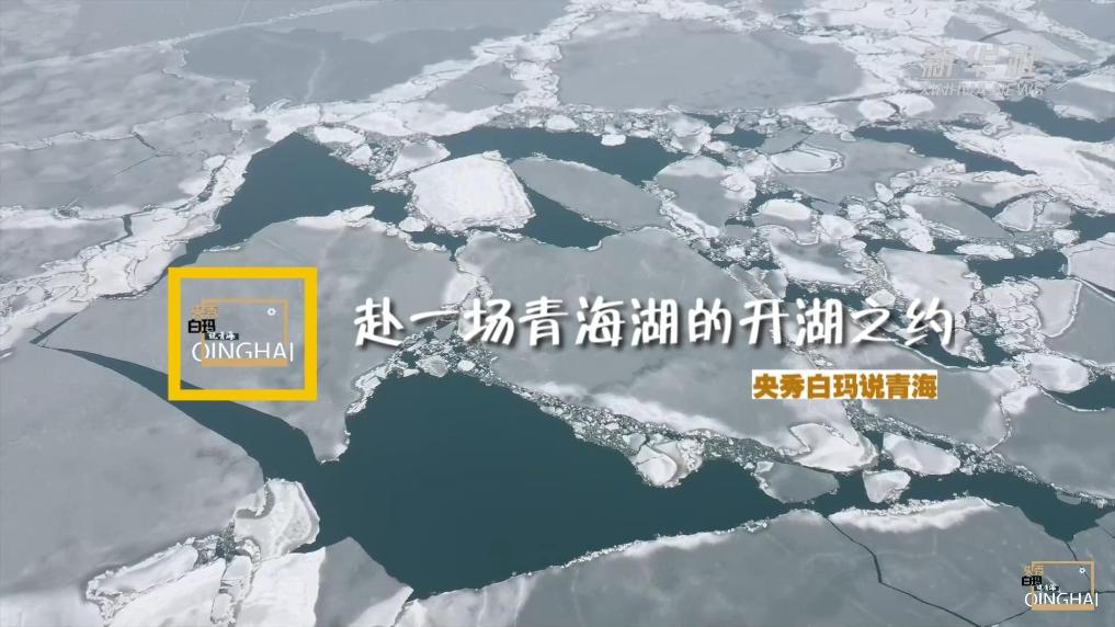 央秀白瑪說青海 | 赴一場青海湖的開湖之約