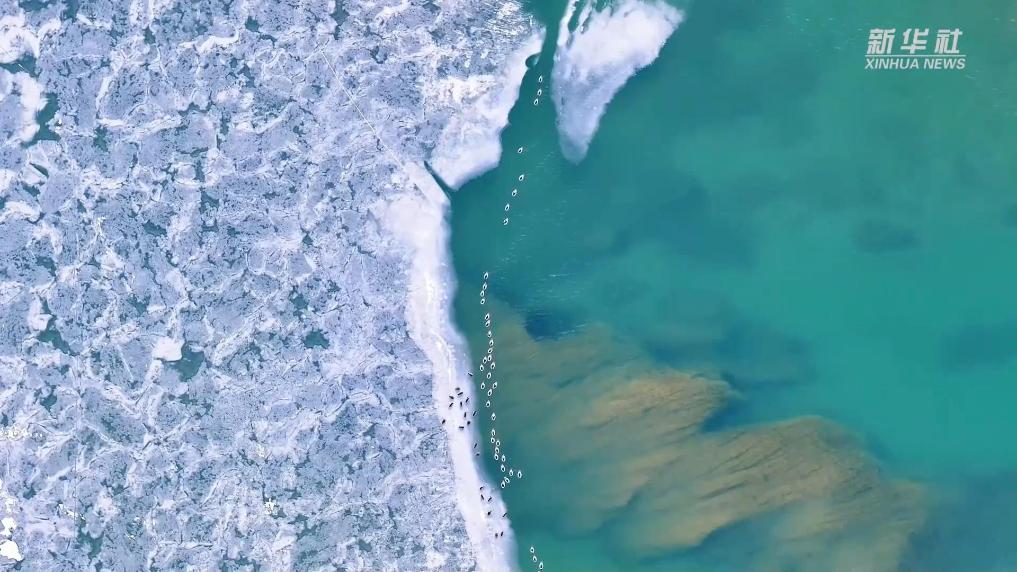 世界水日·黃河首尾對話｜源頭回響：千湖夢歸來