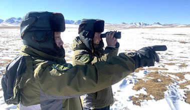 與野生動物相伴：祁連山里的新春堅(jiān)守